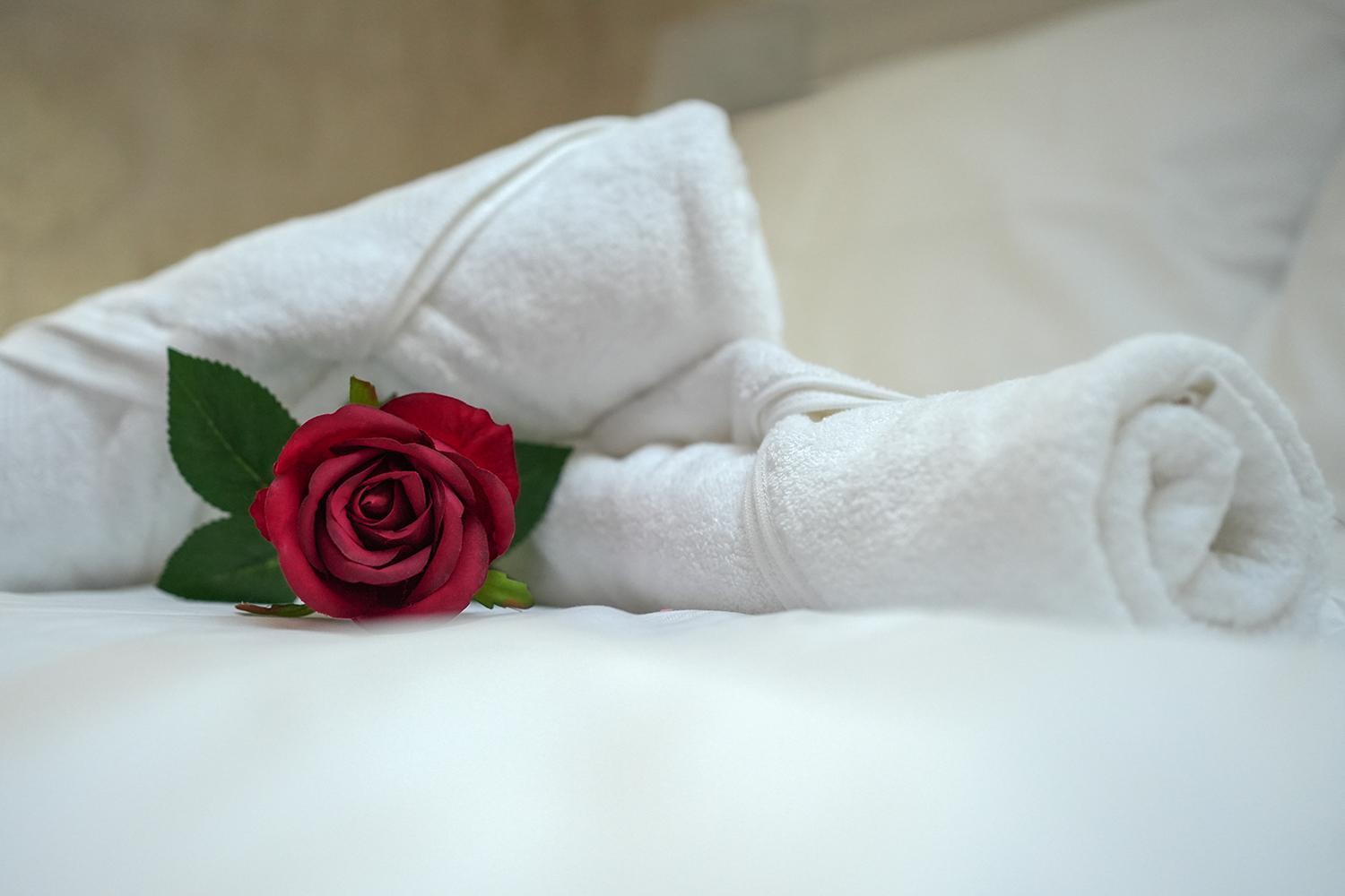 Evasion Chic, Spa Et Sauna Sous Les Toits Nancy Esterno foto